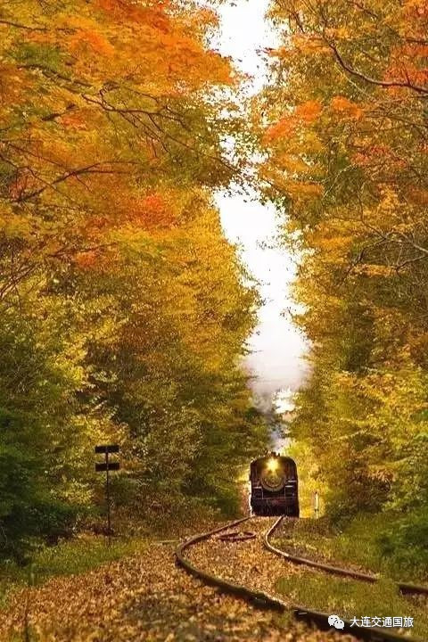 太阳成集团tyc7111cc