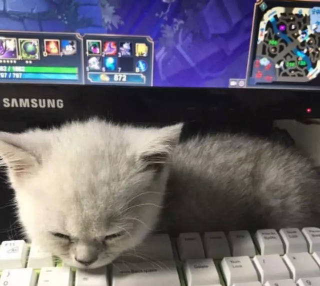 太阳成集团tyc7111cc