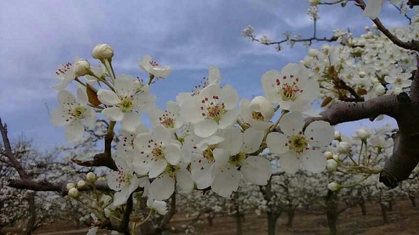 太阳成集团tyc7111cc