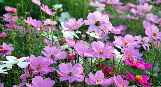 太阳成集团tyc7111cc