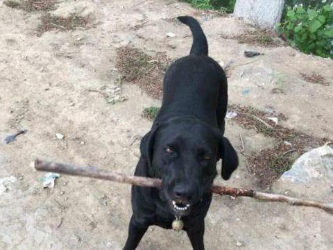 太阳成集团tyc7111cc|
房地产评估要几多钱 凭据国家计委建设部通知出具房地产评估陈诉(图2) 太阳成集团tyc7111cc