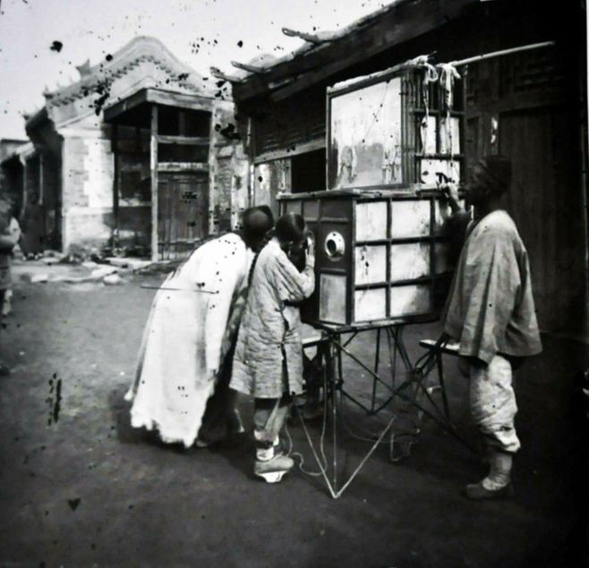 关于我国养龟业现状和前景分析‘太阳成集团tyc7111cc’(图1) 太阳成集团tyc7111cc