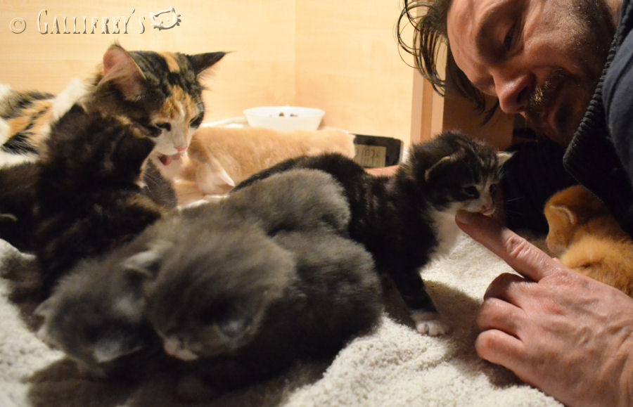 对服装行业中小型企业生产经营模式的博弈分析-太阳成集团tyc7111cc(图2) 太阳成集团tyc7111cc