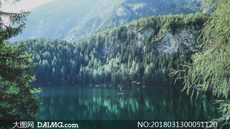 关于我国养龟业现状和前景分析‘太阳成集团tyc7111cc’(图2) 太阳成集团tyc7111cc