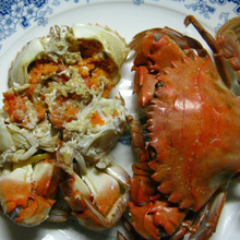 太阳成集团tyc7111cc