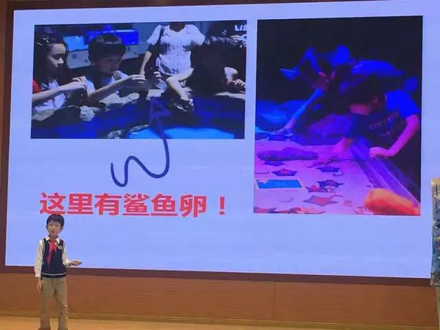 太阳成集团tyc7111cc