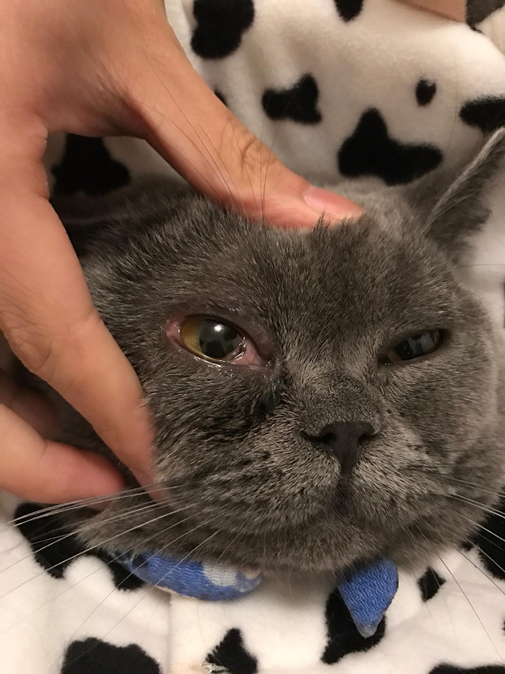 太阳成集团tyc7111cc