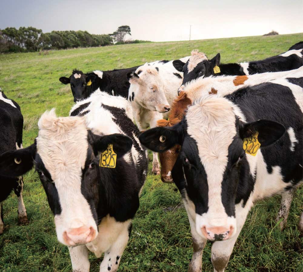 太阳成集团tyc7111cc