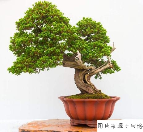 太阳成集团tyc7111cc