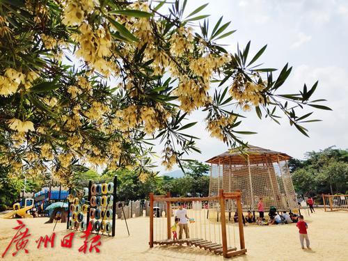 太阳成集团tyc7111cc