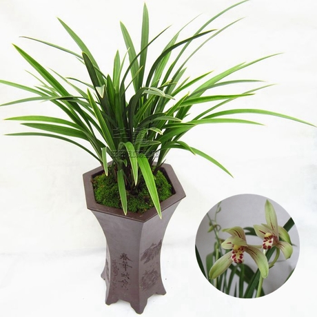 太阳成集团tyc7111cc