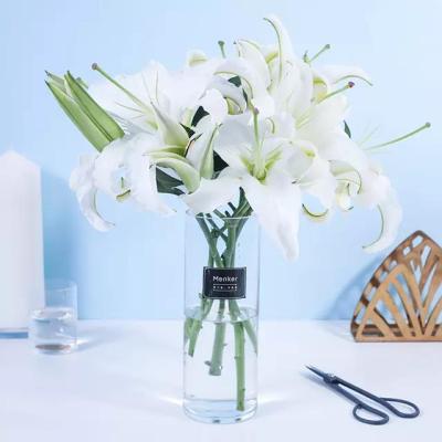 太阳成集团tyc7111cc