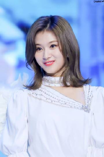 太阳成集团tyc7111cc