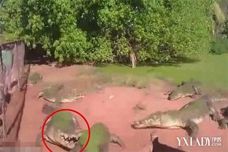 统计局:2020年1月份居民消费价格同比上涨5.4%-太阳成集团tyc7111cc(图1) 太阳成集团tyc7111cc